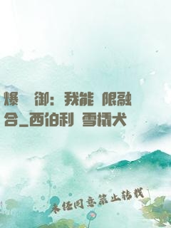 爆裝靈御：我能無限融合