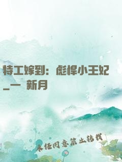 特工嫁到：彪悍小王妃