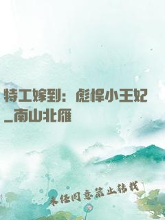 特工嫁到：彪悍小王妃