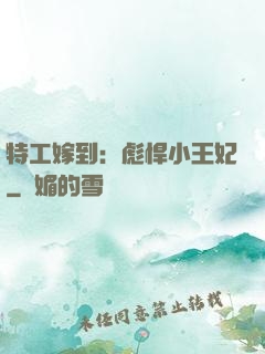 特工嫁到：彪悍小王妃