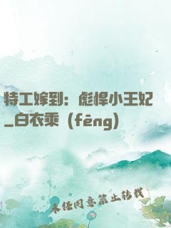 特工嫁到：彪悍小王妃