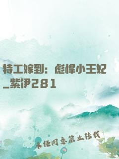 特工嫁到：彪悍小王妃