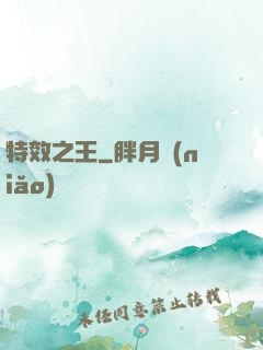 特效之王