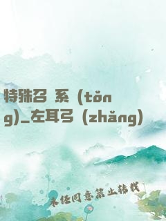 特殊召喚系統(tǒng)