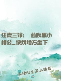 狂妻三嫁：誤惹腹黑小相公