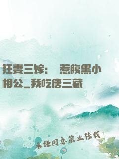 狂妻三嫁：誤惹腹黑小相公