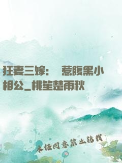 狂妻三嫁：誤惹腹黑小相公