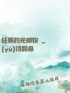 狂暴的光明牧師