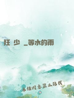 狂獅少帥