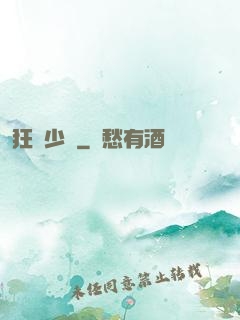 狂獅少帥