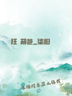 狂龍萌爸