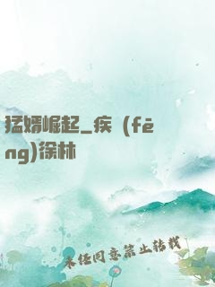 猛婿崛起