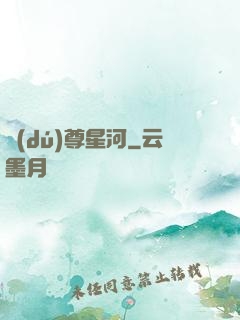 獨(dú)尊星河