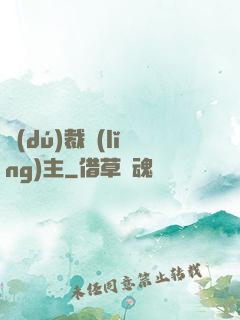 獨(dú)裁領(lǐng)主
