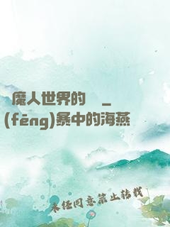 獵魔人世界的軍閥