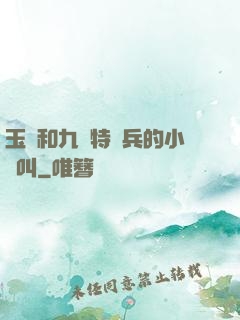 玉兒和九個特種兵的小說叫