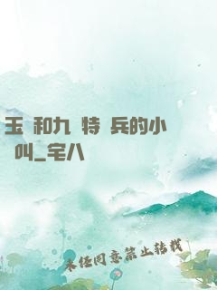 玉兒和九個特種兵的小說叫