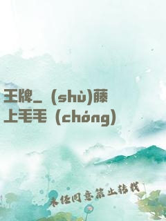 王牌