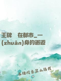王牌賤諜在都市
