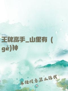 王牌高手