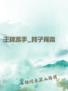 王牌高手