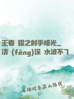 王者榮耀之射手曙光