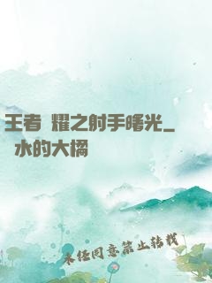 王者榮耀之射手曙光