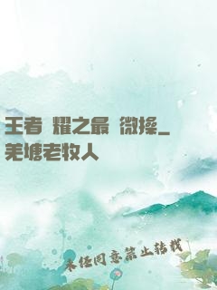 王者榮耀之最強微操