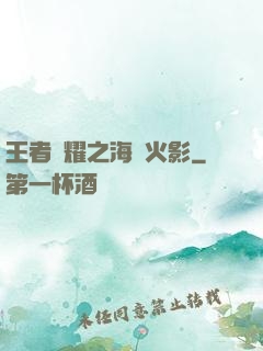 王者榮耀之海賊火影