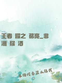 王者榮耀之諸葛亮