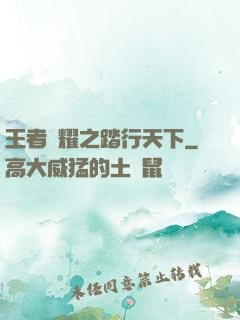 王者榮耀之踏行天下