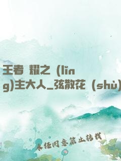 王者榮耀之領(lǐng)主大人