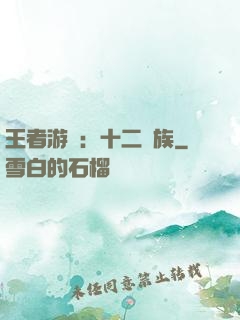 王者游戲：十二貴族