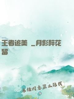 王者追美記
