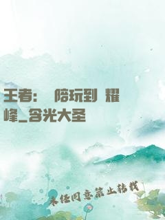 王者：從陪玩到榮耀巔峰