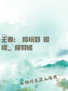 王者：從陪玩到榮耀巔峰