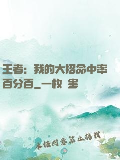 王者：我的大招命中率百分百