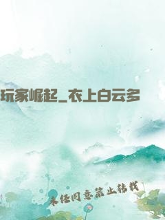 玩家崛起