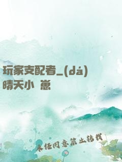 玩家支配者