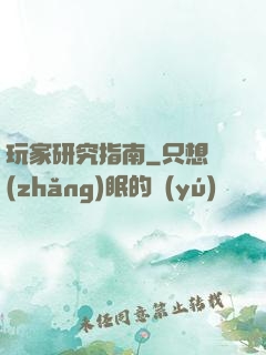玩家研究指南