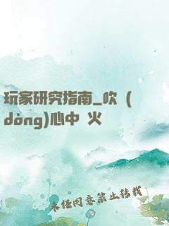 玩家研究指南