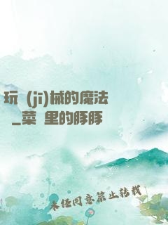 玩機(jī)械的魔法師