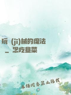 玩機(jī)械的魔法師