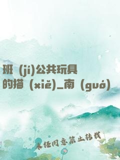 班級(jí)公共玩具的描寫(xiě)