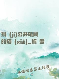 班級(jí)公共玩具的描寫(xiě)
