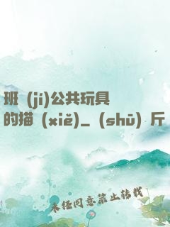 班級(jí)公共玩具的描寫(xiě)
