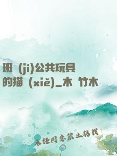 班級(jí)公共玩具的描寫(xiě)