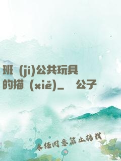 班級(jí)公共玩具的描寫(xiě)