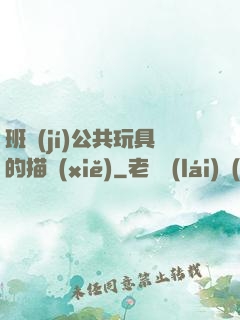 班級(jí)公共玩具的描寫(xiě)