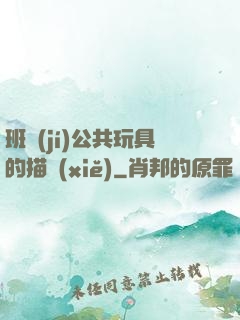 班級(jí)公共玩具的描寫(xiě)
